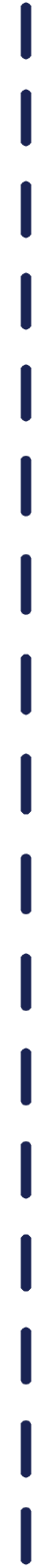 dashed line